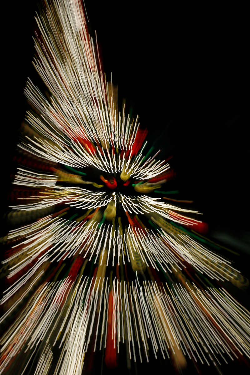 Illustration for article titled Zoom Photo Challenge Gallery 2